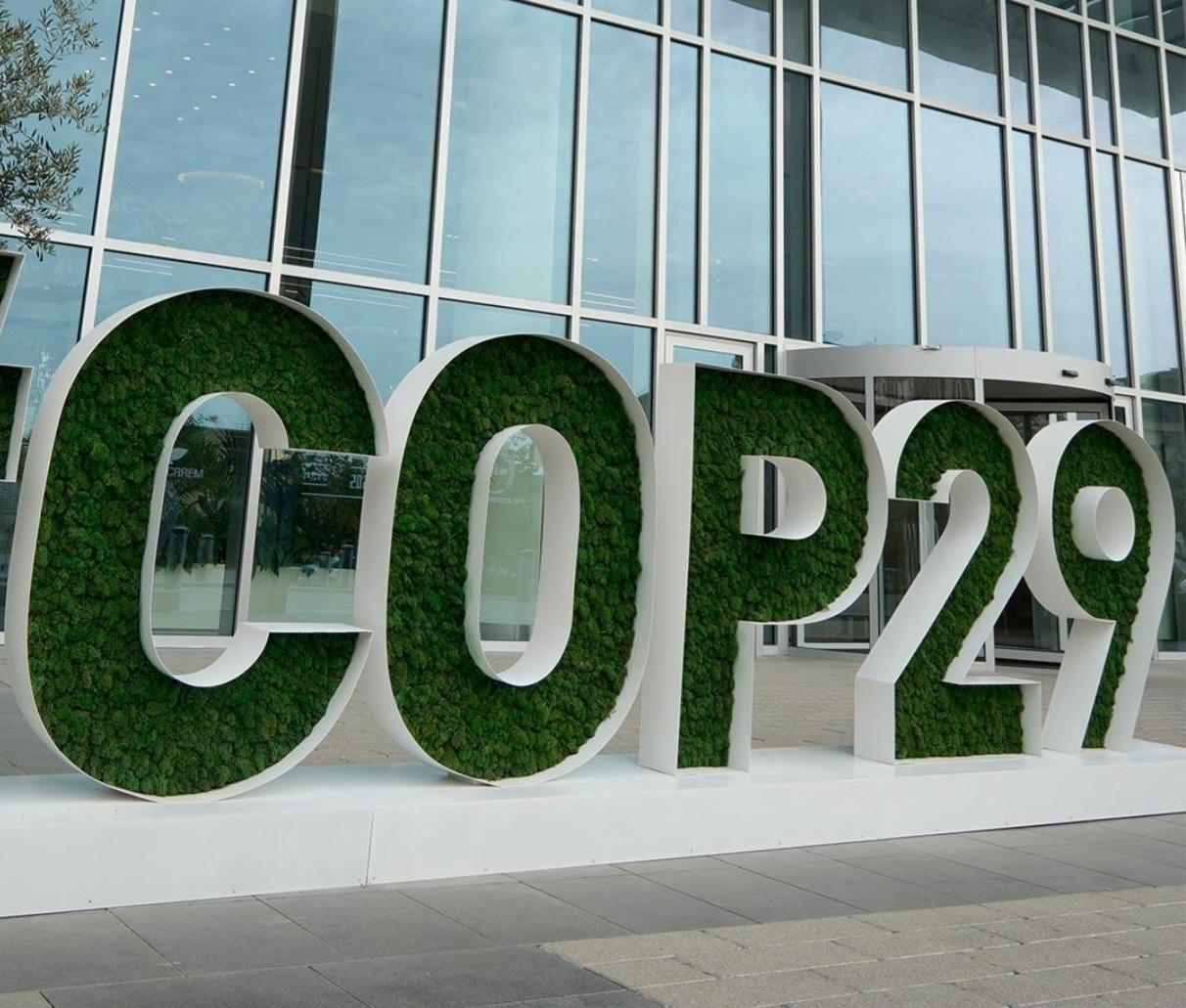 Outcomes from the COP-29 Egmont Group Sessions