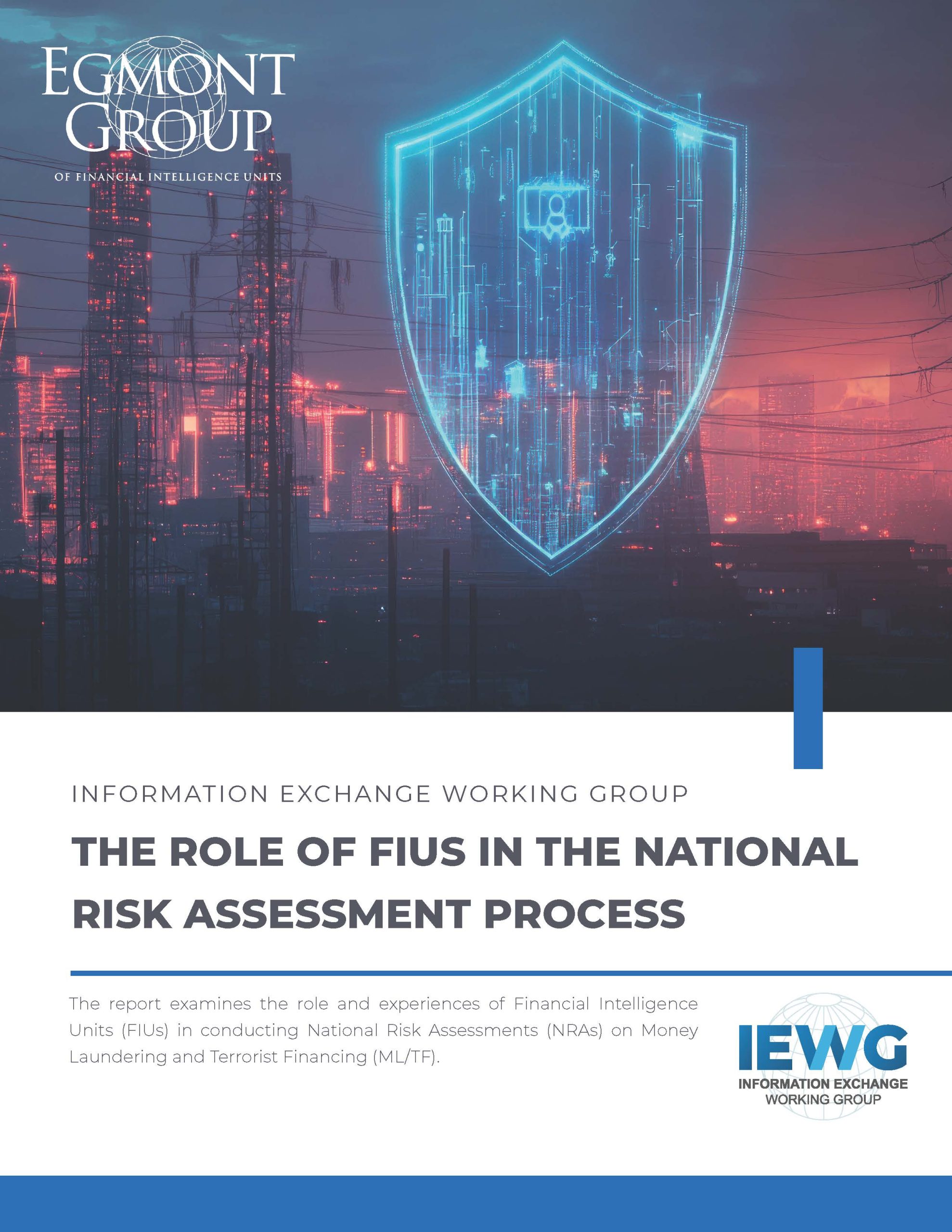 The Role of FIUs in the National Risk Assessment Process