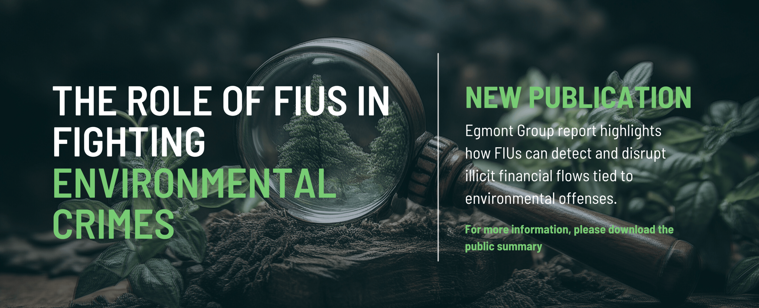 The Role of FIUs in Fighting Environmental Crimes