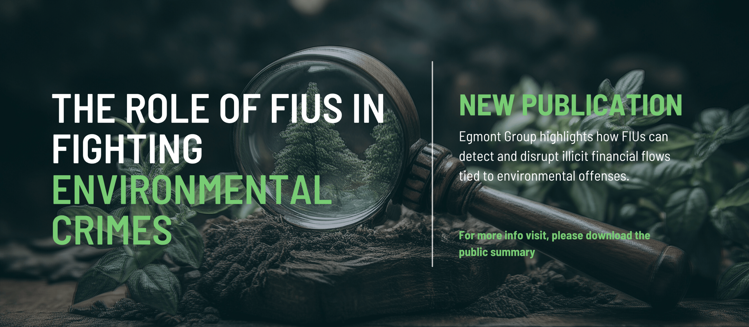 The Role of FIUs in Fighting Environmental Crimes