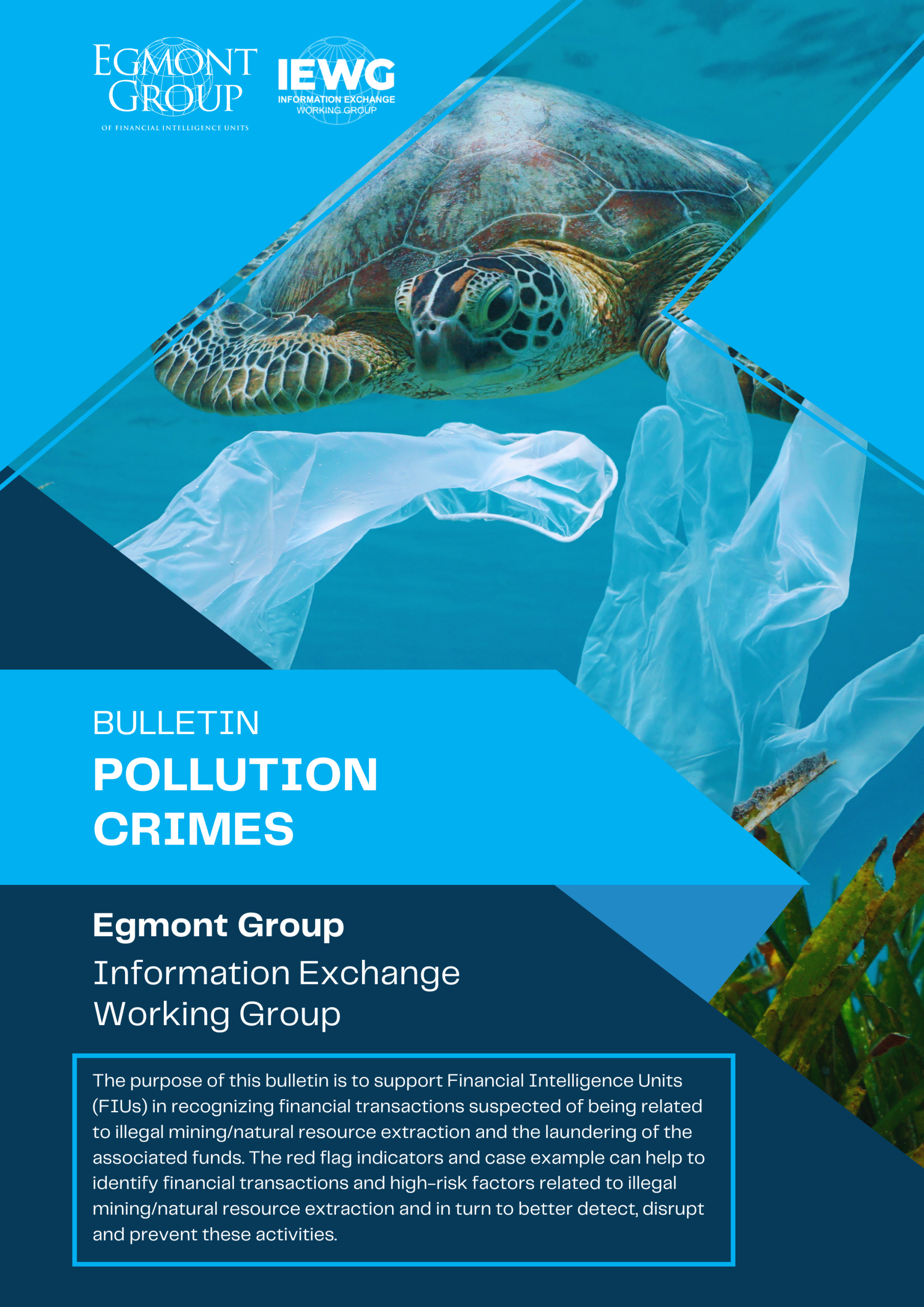 IEWG Enviro Crimes – Pollution Crime Bulletin