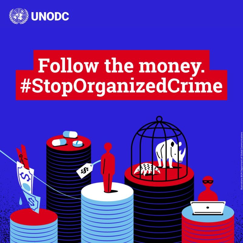 Image for the Tweet beginning: 🌍 Today is the #InternationalDayAgainstOrganizedCrime
30