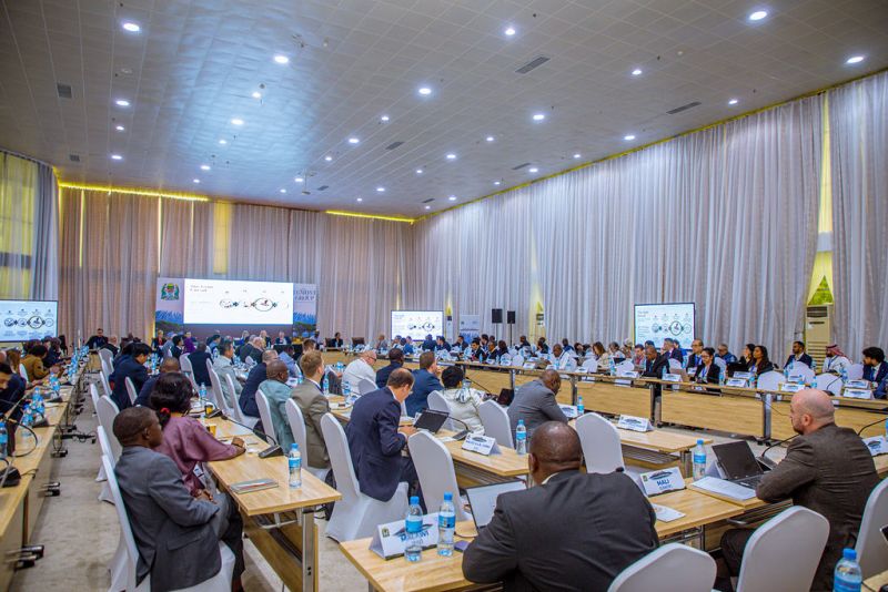 Image for the Tweet beginning: 🌍 IEWG met in Tanzania